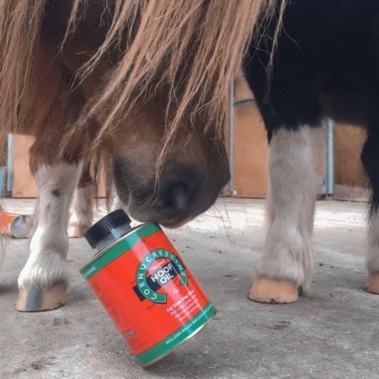 Масло для копыт с маслом чайного дерева Cornucrescine Tea Tree Hoof Oil, Carr & Day & Martin