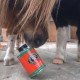 Масло для копыт с маслом чайного дерева Cornucrescine Tea Tree Hoof Oil, Carr & Day & Martin