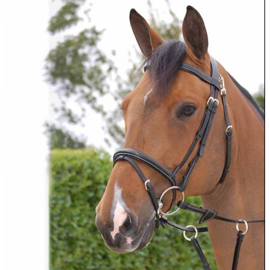 Вуздечка з комбінованим капсюлем Flash Noseband With Snap Hooks від Dyon