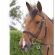 Вуздечка з комбінованим капсюлем Flash Noseband With Snap Hooks від Dyon