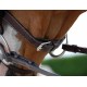 Вуздечка з комбінованим капсюлем Flash Noseband With Snap Hooks від Dyon