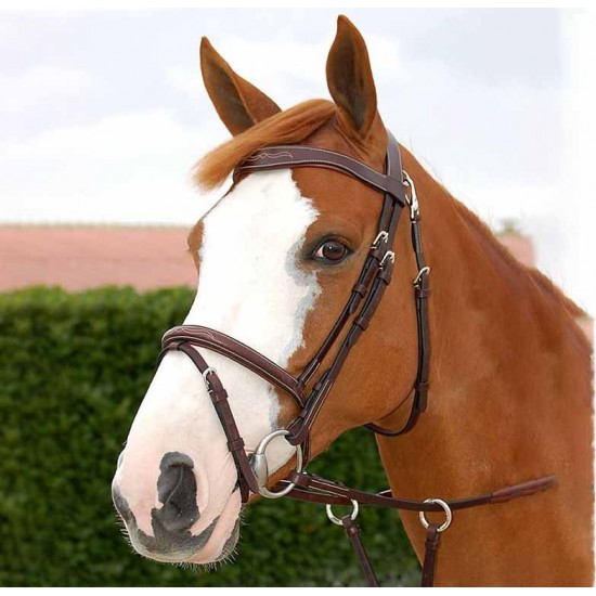 Вуздечка з комбінованим капсюлем Flash Noseband With Snap Hooks від Dyon