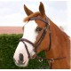 Вуздечка з комбінованим капсюлем Flash Noseband With Snap Hooks від Dyon
