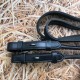 Повіддя 5/8 Hunter від Dyon