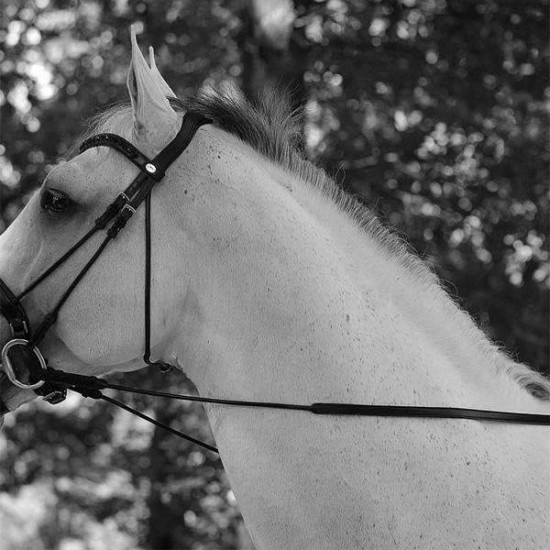 Повіддя 5/8 Full Leather Double Bridle With 7 Leather Loops від Dyon