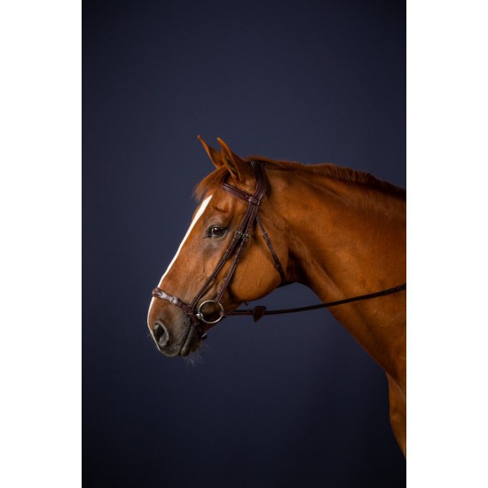 Уздечка с ганноверским капсюлем Adjustable Drop Noseband от Dyon