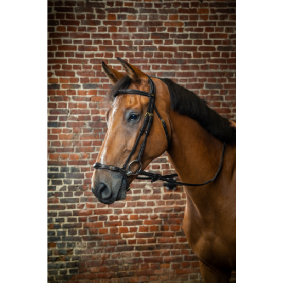 Уздечка с ганноверским капсюлем Adjustable Drop Noseband от Dyon