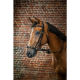 Уздечка с ганноверским капсюлем Adjustable Drop Noseband от Dyon