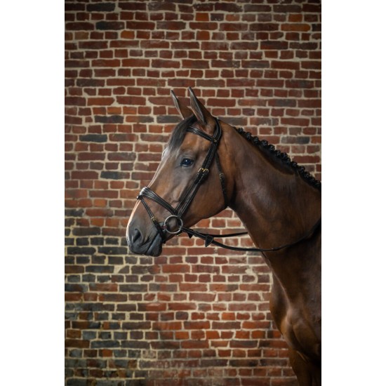Вуздечка з комбінованим капсюлем Anatomic Flash Noseband від Dyon