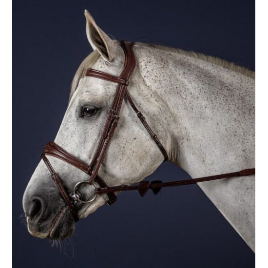 Вуздечка з комбінованим капсюлем Anatomic Flash Noseband від Dyon
