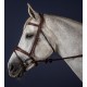 Вуздечка з комбінованим капсюлем Anatomic Flash Noseband від Dyon