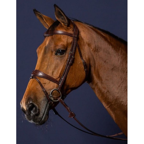 Вуздечка з комбінованим капсюлем Anatomic Flash Noseband від Dyon