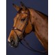 Вуздечка з комбінованим капсюлем Anatomic Flash Noseband від Dyon