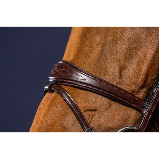 Вуздечка з комбінованим капсюлем Anatomic Flash Noseband від Dyon
