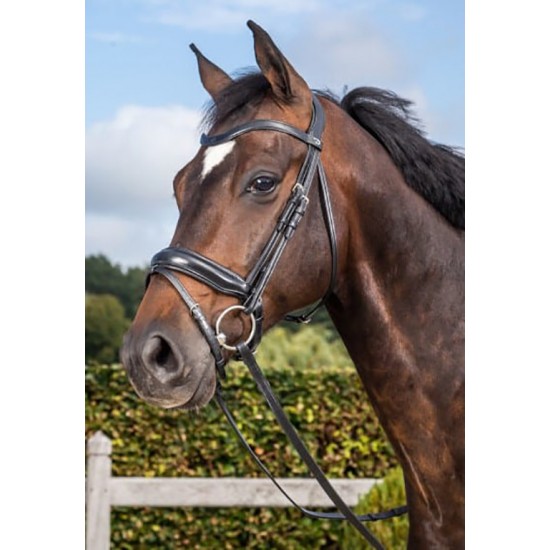 Вуздечка з комбінованим капсюлем Matte Medium Crank Noseband With Flash від Dyon
