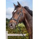 Вуздечка з комбінованим капсюлем Matte Medium Crank Noseband With Flash від Dyon