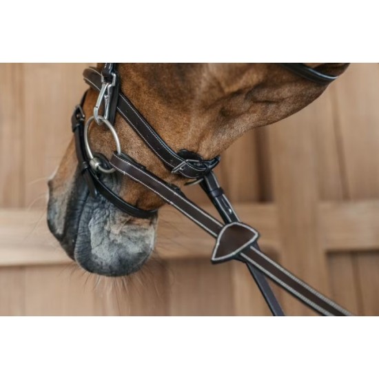 Вуздечка з комбінованим капсюлем Flash Noseband від Dyon