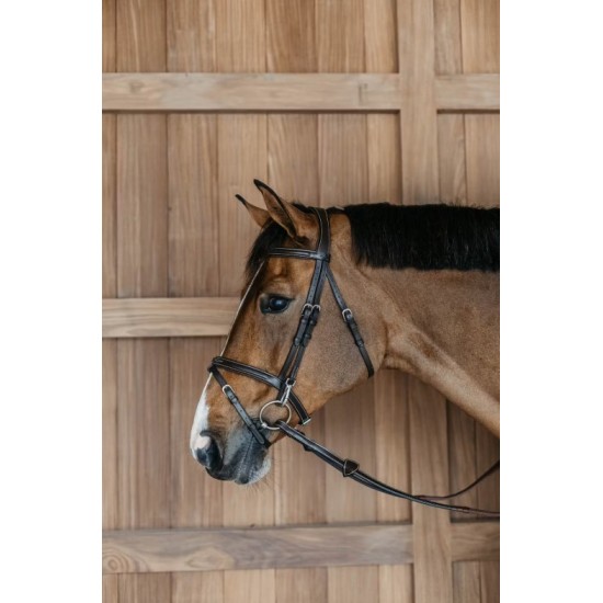 Вуздечка з комбінованим капсюлем Flash Noseband від Dyon