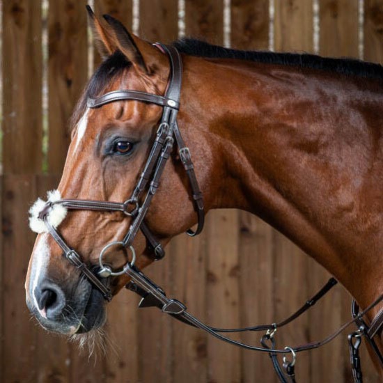 Вуздечка з мексиканським капсюлем Fig 8 Noseband від Dyon