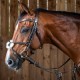 Вуздечка з мексиканським капсюлем Fig 8 Noseband від Dyon