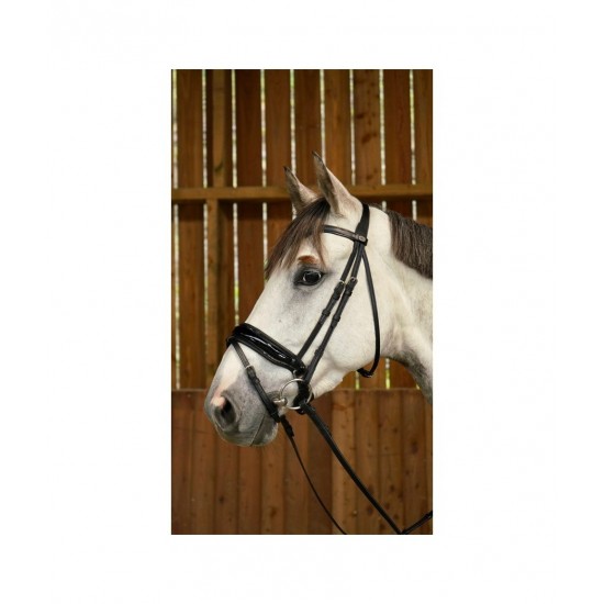 Вуздечка з комбінованим капсюлем Patent Large Crank Noseband With Flash від Dyon