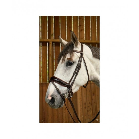 Вуздечка з комбінованим капсюлем Patent Large Crank Noseband With Flash від Dyon