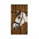 Вуздечка з комбінованим капсюлем Patent Large Crank Noseband With Flash від Dyon