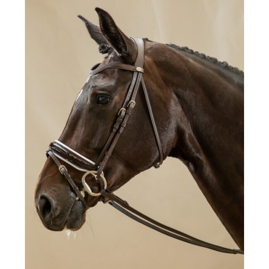 Вуздечка з комбінованим капсюлем Patent Large Crank Noseband With White Padding And Flash від Dyon