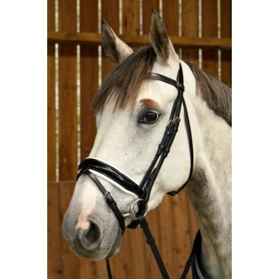 Вуздечка з комбінованим капсюлем Patent Large Crank Noseband With White Padding And Flash від Dyon