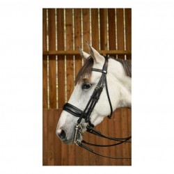 Оголів'я Matte Large Crank Noseband від Dyon Оголів'я Matte Large Crank Noseband від Dyon