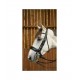 Оголів'я Matte Large Crank Noseband від Dyon