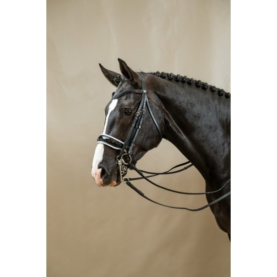 Оголів'я Patent Large Crank Noseband With White Padding від Dyon