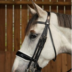 Оголів'я Patent Large Crank Noseband With White Padding від Dyon Оголів'я Patent Large Crank Noseband With White Padding від Dyon