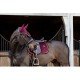 Вальтрап виїздковий Velvet від Kentucky Horsewear