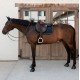 Вальтрап конкурний Velvet від Kentucky Horsewear