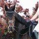 Вушка Wellington Sparkling від Kentucky
