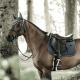 Вушка для коня Wellington Stone&Pearl від Kentucky Horsewear