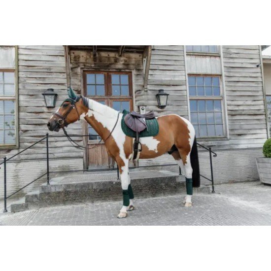 Вушка для коня Wellington Velvet Pearls від Kentucky Horsewear