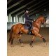 Лосины для верховой езды с полной силиконовой леей Moonless Night, Equestrian Stockholm