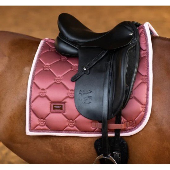 Вальтрап виїзковий Amber Rose, Equestrian Stockholm