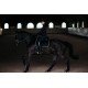 Вальтрап виїзковий Equestrian Stockholm BLACK EDITION