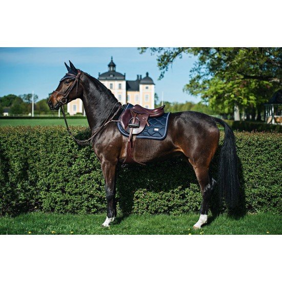 Вальтрап конкурный Equestrian Stockholm MIDNIGHT BLUE