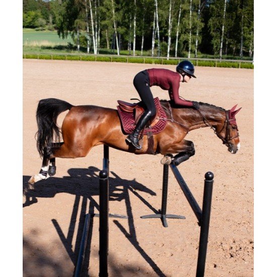 Вальтрап конкурний New Maroon, Equestrian Stockholm