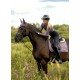Вальтрап виїздковий Dark Violet, Equestrian Stockholm