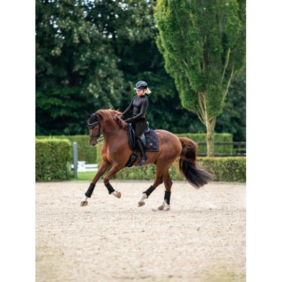 Вальтрап виїздковий Dark Ocean, Equestrian Stockholm