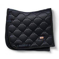 Вальтрап виїздковий Dark Ocean, Equestrian Stockholm