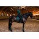 Вальтрап виїзковий Sycamore Green, Equestrian Stockholm