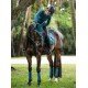 Вальтрап виїзковий Teal Blue, Equestrian Stockholm