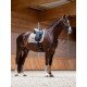 Вальтрап виїздковий Sand, Equestrian Stockholm