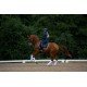 Вальтрап выездковый Equestrian Stockholm MIDNIGHT WHITE EDGE